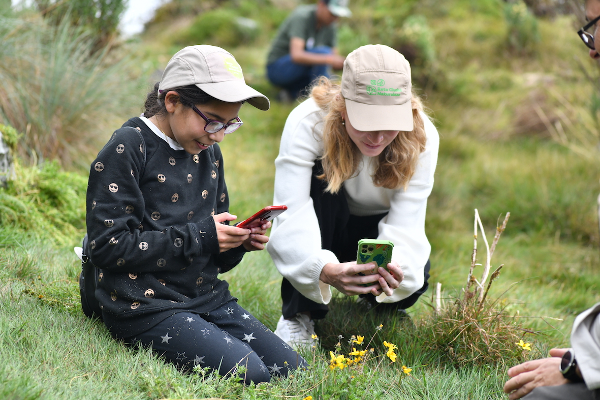 City Nature Challenge