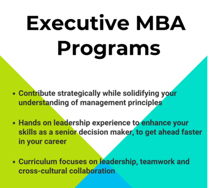 Executive MBA: The Programme Designed for Senior Leaders