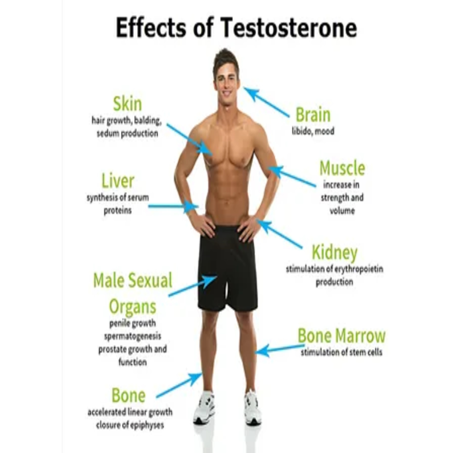 Could Low Testosterone Be Causing Your Brain Fog?