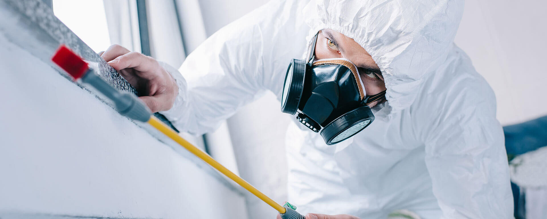 Safe, Certified, and Long-Lasting Pest Control Services in Abu Dhabi with Black Diamond Pest Control