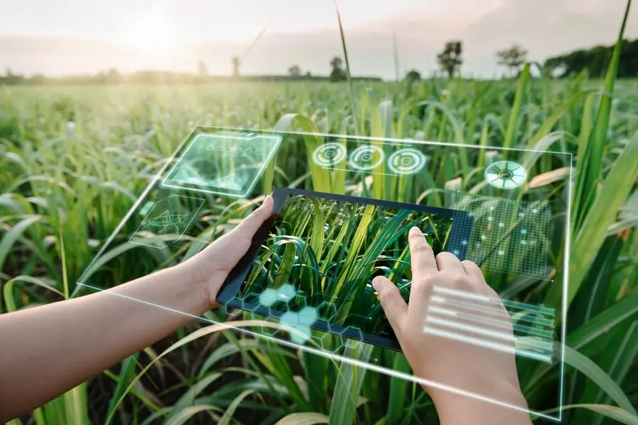 AI for farmers: UAE develops free tool trained to solve crop-specific issues