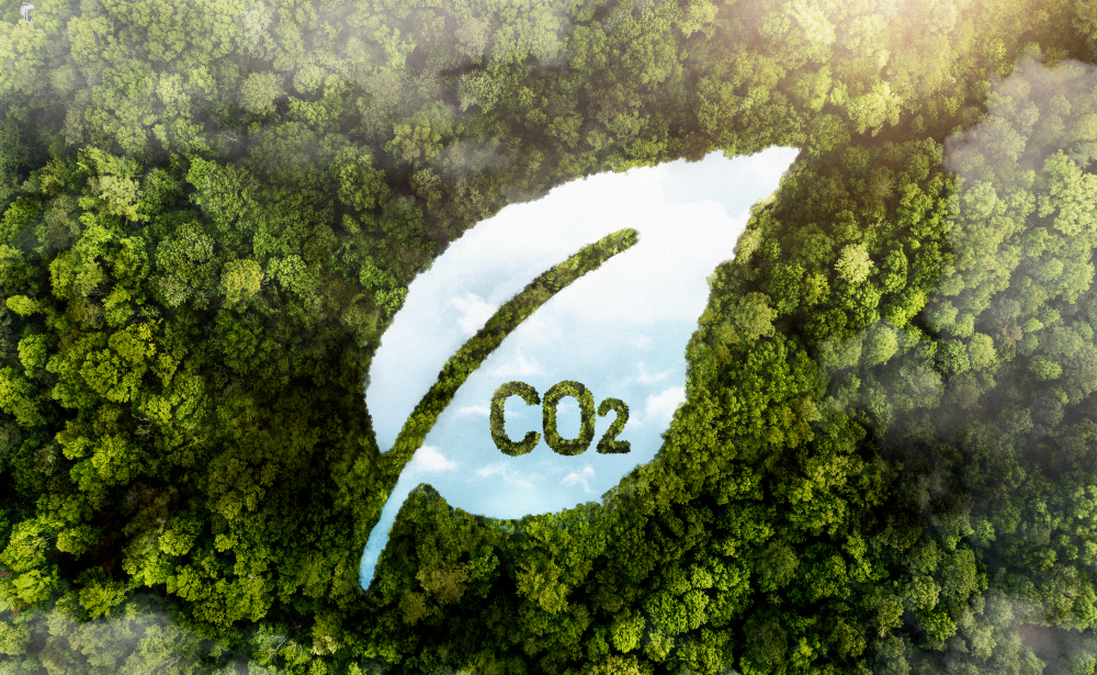 The greenwashing dilemma behind carbon offsets