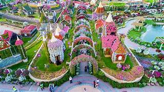 Dubai Miracle Garden Offers Dh30 Entry for Residents in Final Phase of Season 14