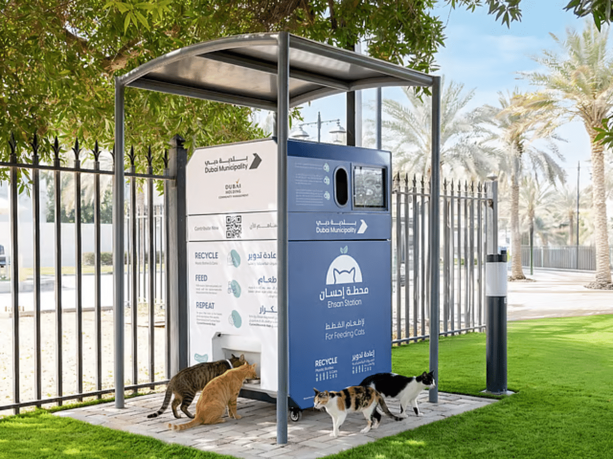 Could Dubai’s AI-powered feeding stations transform stray animal care?