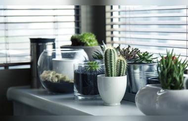 Improving Indoor Air Quality: The Key To A Healthy And Comfortable Home