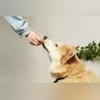 Pet Nutrition Guide: 3 Things to Look For in Quality Dog Food