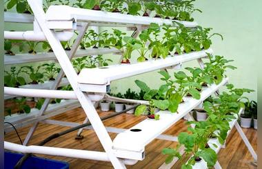 Greenhouse And Its Advantages