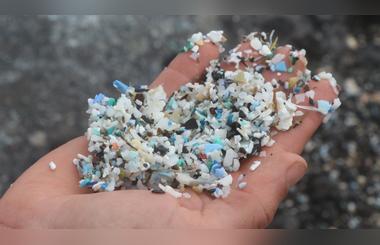 Let Us Know About The world drowning in microplastics