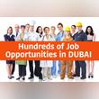 Job Opportunities aplenty in the UAE