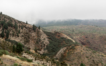 UAE Travellers Eye Salalah, Bhutan and Jebel Akhdar for August Long Weekend Getaways