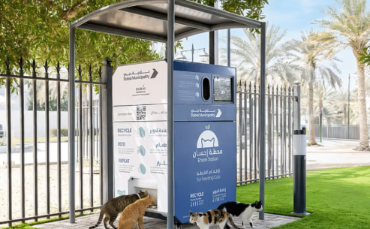 Could Dubai’s AI-powered feeding stations transform stray animal care?