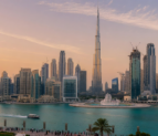 Professional vs Commercial License in Dubai