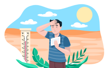 UAE scientists uncover cause of extreme summer heat in Arabian Gulf