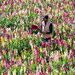 The Blooming Vision: How One Emirati Farmer is Turning the UAE into a Floral Wonderland