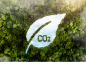 The greenwashing dilemma behind carbon offsets