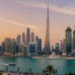 Professional vs Commercial License in Dubai