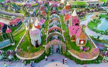 Dubai Miracle Garden Offers Dh30 Entry for Residents in Final Phase of Season 14
