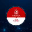 Understanding Mexico Extradition Laws and the Role of Interpol Red Notices