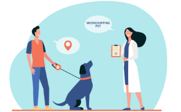 How to Choose a Veterinarian You Actually Trust