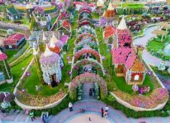 Dubai Miracle Garden Offers Dh30 Entry for Residents in Final Phase of Season 14