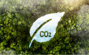 The greenwashing dilemma behind carbon offsets