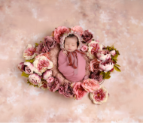 Top 10 Newborn Photographers in Dubai