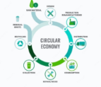 Sustainable Living Strategies: How the Circular Economy Transforms Waste into Valuable Resources