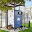 Could Dubai’s AI-powered feeding stations transform stray animal care?