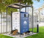 Could Dubai’s AI-powered feeding stations transform stray animal care?