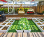 Simple Ways to Improve Outdoor Spaces in Dubai Villas