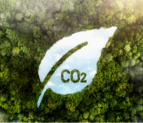 The greenwashing dilemma behind carbon offsets