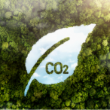 The greenwashing dilemma behind carbon offsets
