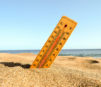 Surge in Heat-Related Illnesses Grips the UAE as Summer Intensifies