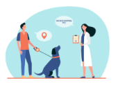 How to Choose a Veterinarian You Actually Trust