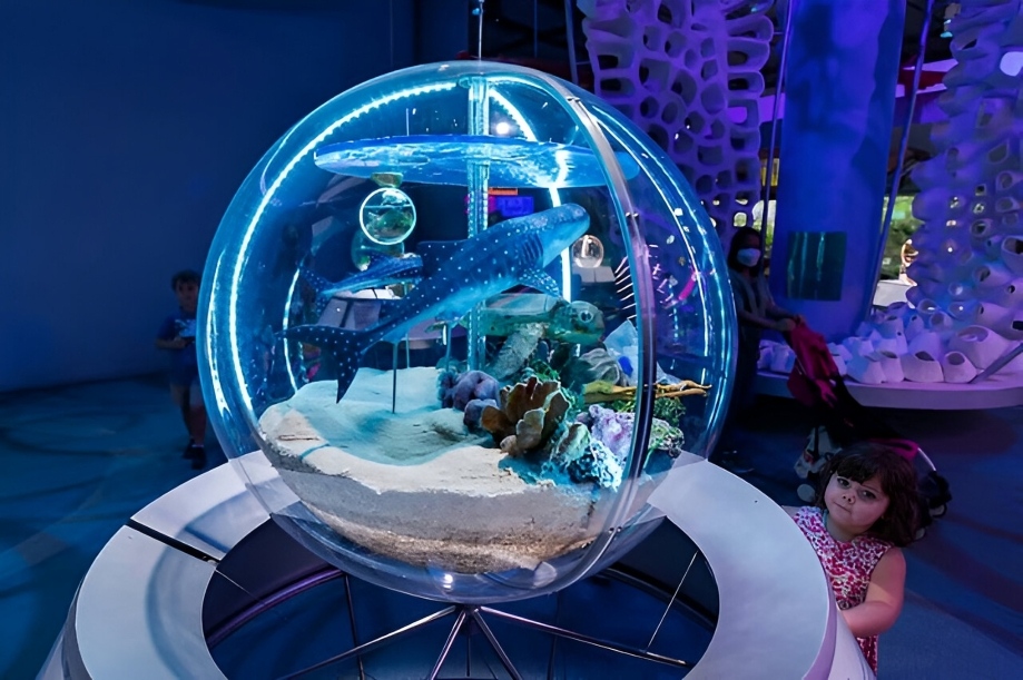 Water Festival at Expo City Dubai promises a fun family day out