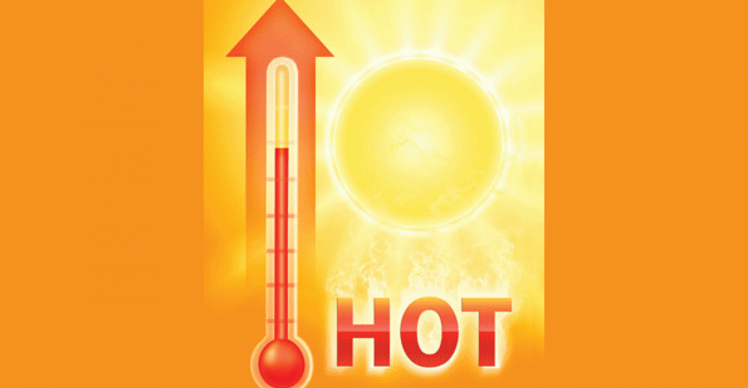 The HEAT is On! Don't wilt away this summer