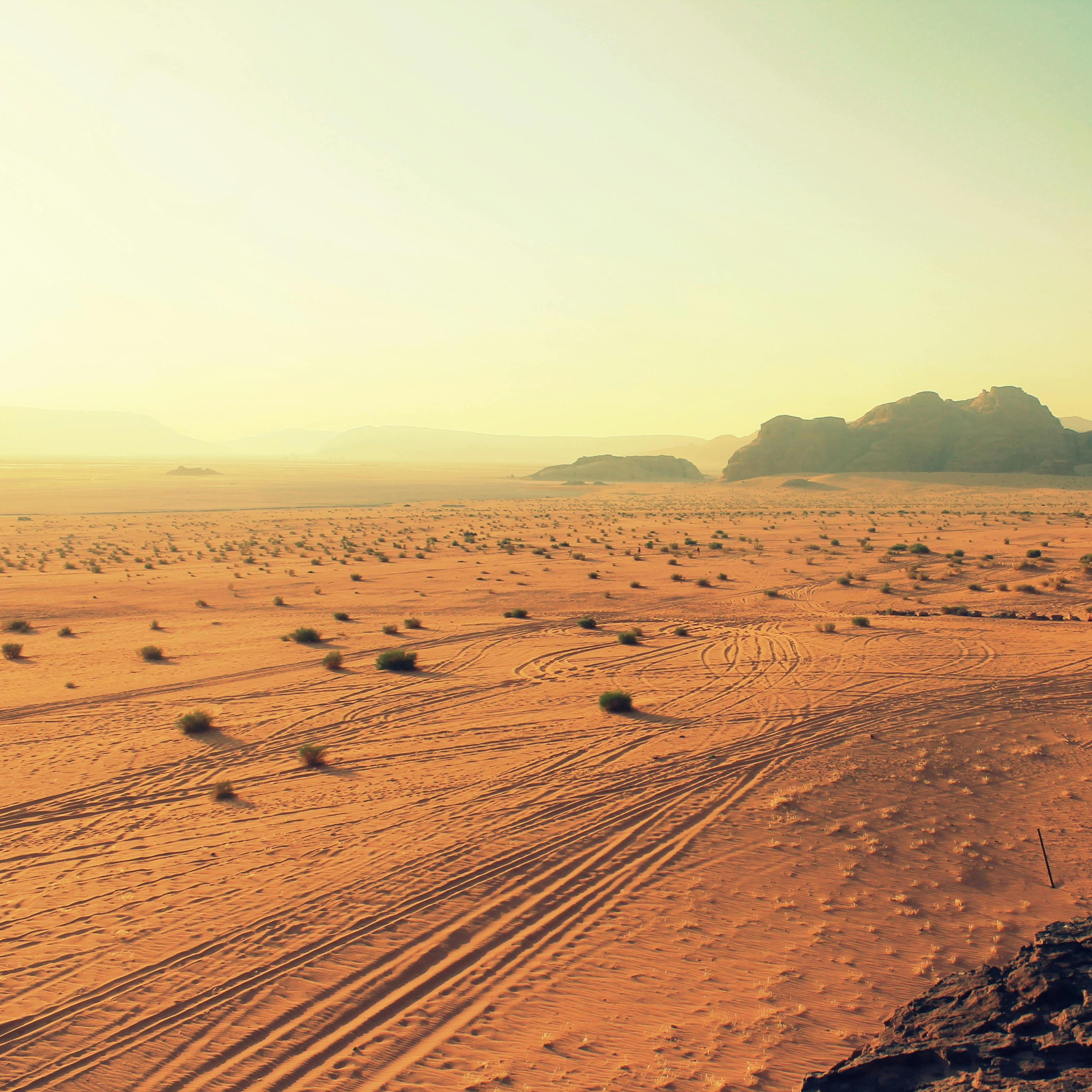 The Enchanting Story of Dubai's Deserts