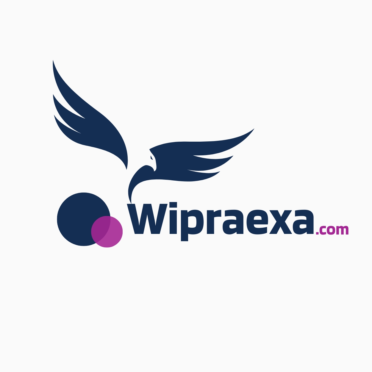 Wipraexa.com