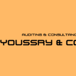 Youssry & Co. Auditing & Consultancy