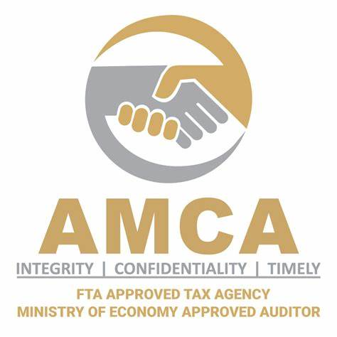 AMCA Auditing
