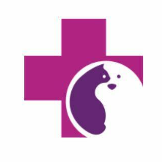 Vets in the City Veterinary Clinic Dubai