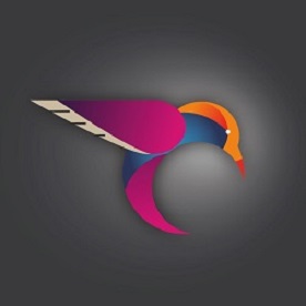 Media Image