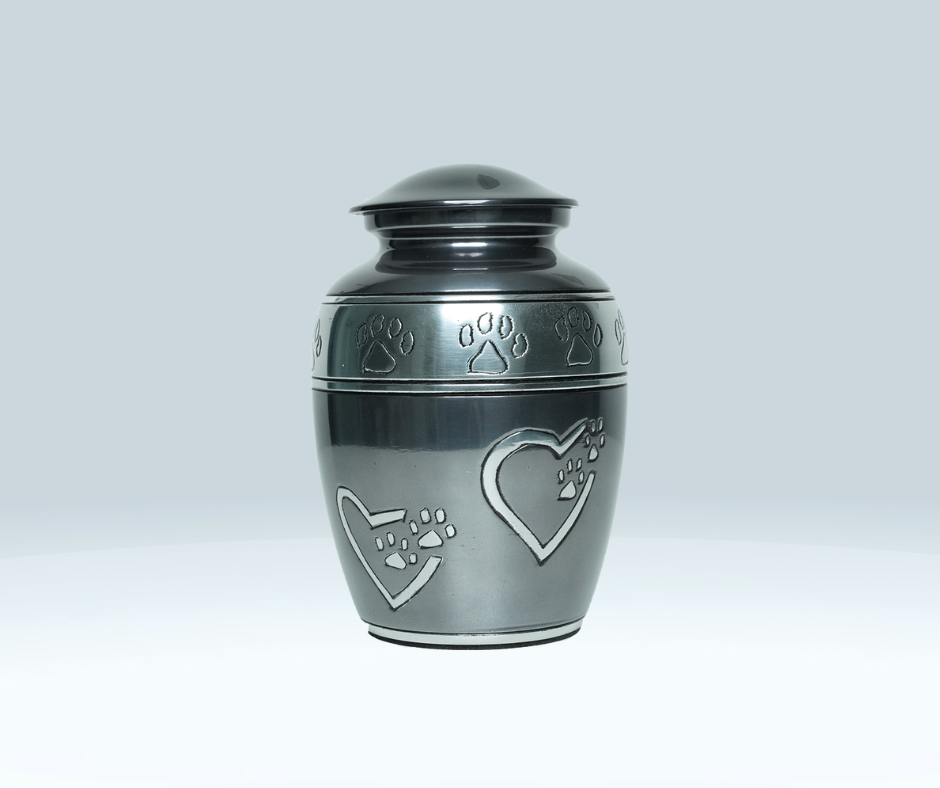 Image 2 Thumbnail