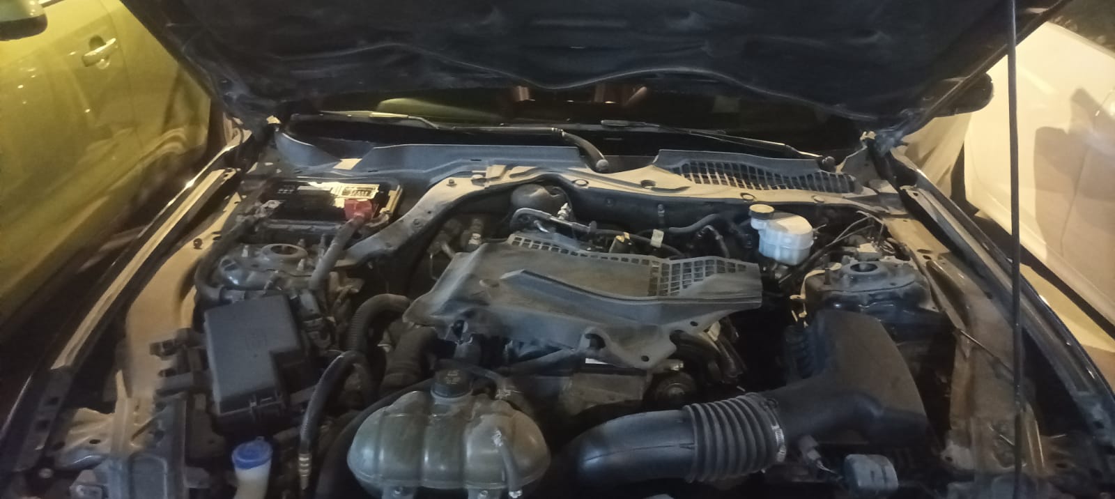 Gallery Image 5