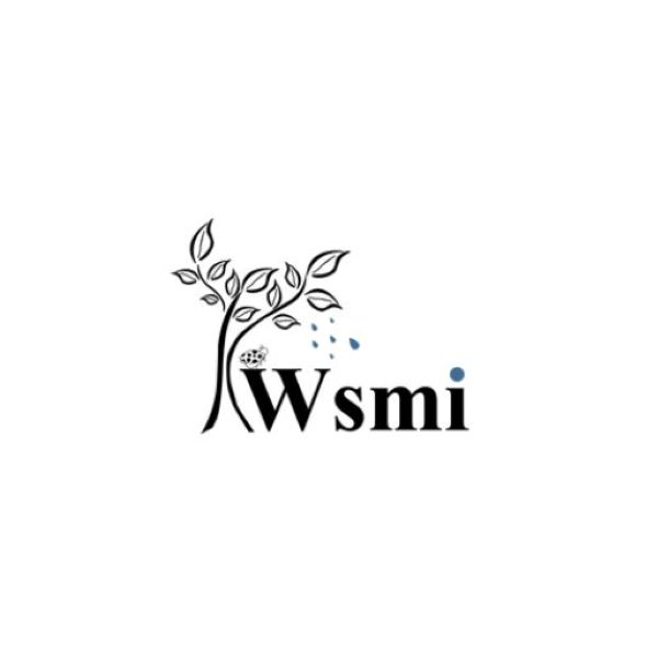 WSMI CO