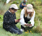 City Nature Challenge
