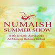 Numaish Summer Show and Talent Hunt 2015