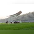 Dubai World Cup Carnival 2015 (Race 8)