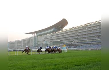 Dubai World Cup Carnival 2015 (Race 8)