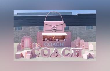 Coach Tabby Experience